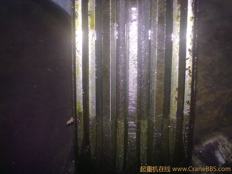 20111107440.jpg
