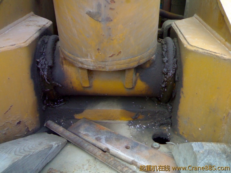20111106203.jpg
