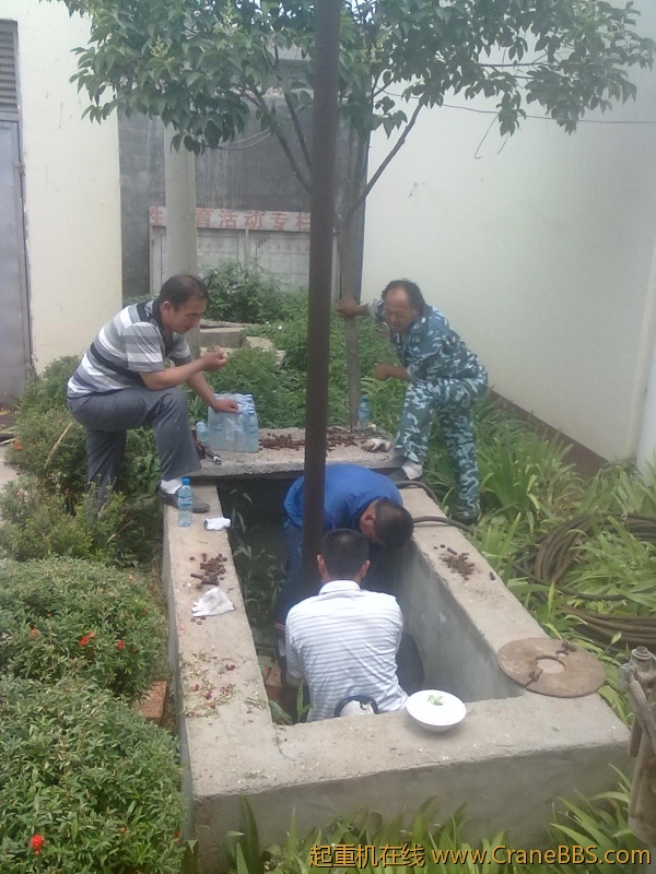 20110605070.jpg