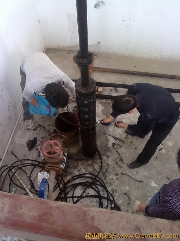 20110429023.jpg
