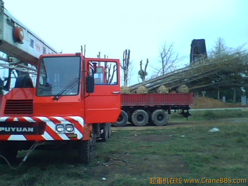 IMG1182A.jpg