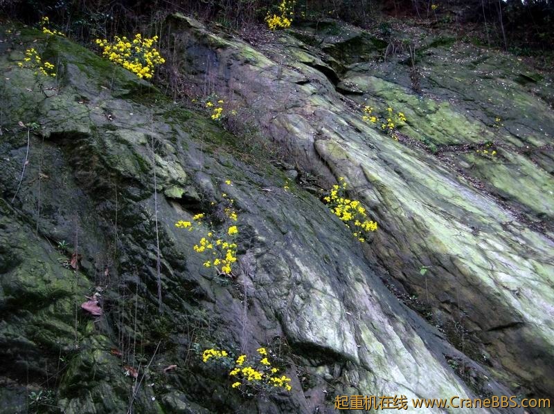 调整大小 IMG_0284.JPG