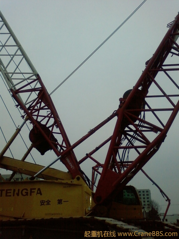 SP_A0406.jpg