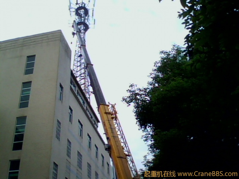 IMG1192A.jpg