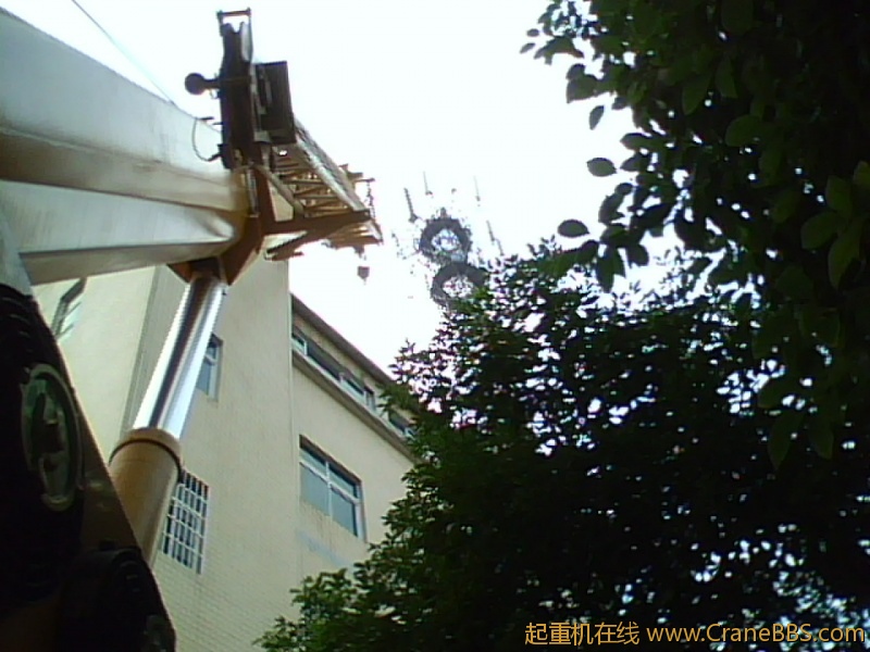 IMG1189A.jpg