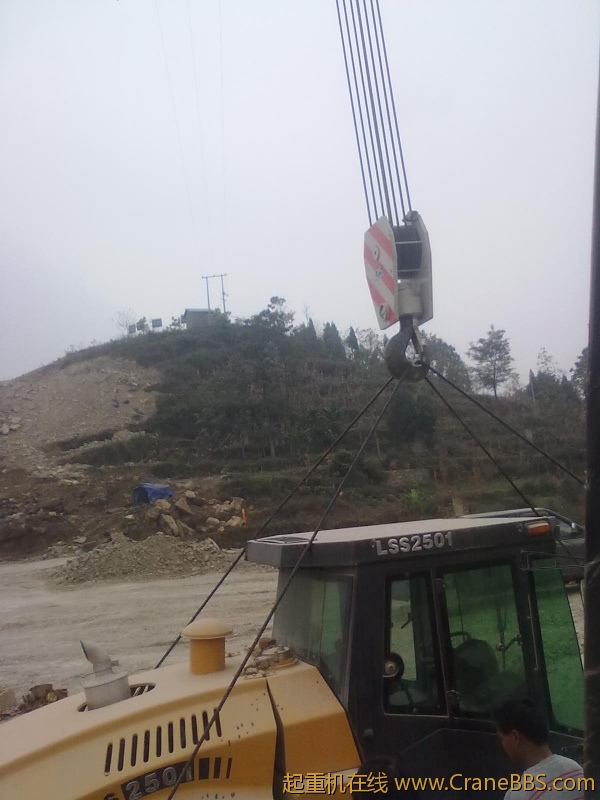 20101111077.jpg