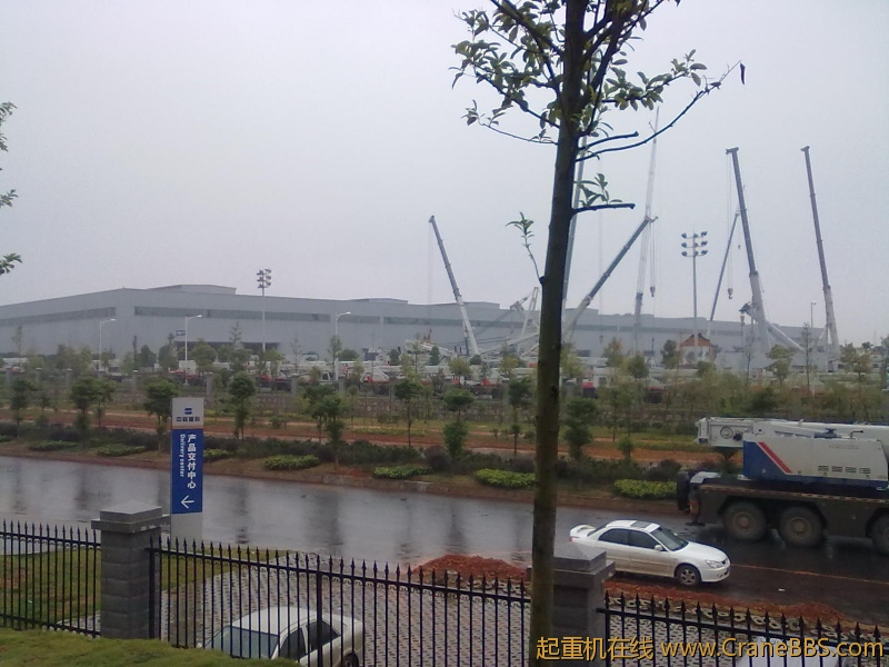 20101011053.jpg