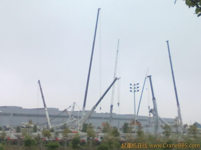 20101011054.jpg