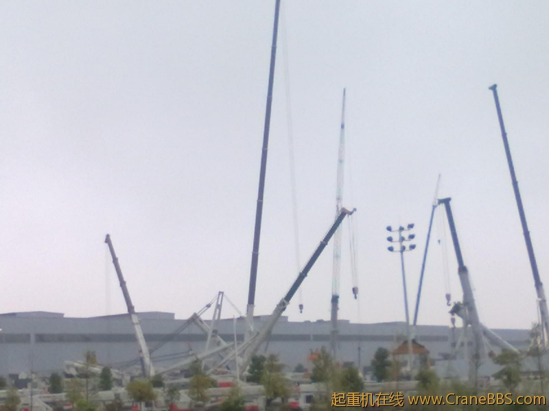 20101011056.jpg