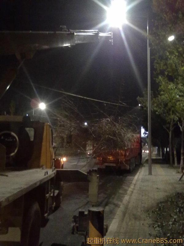 201111111137.jpg