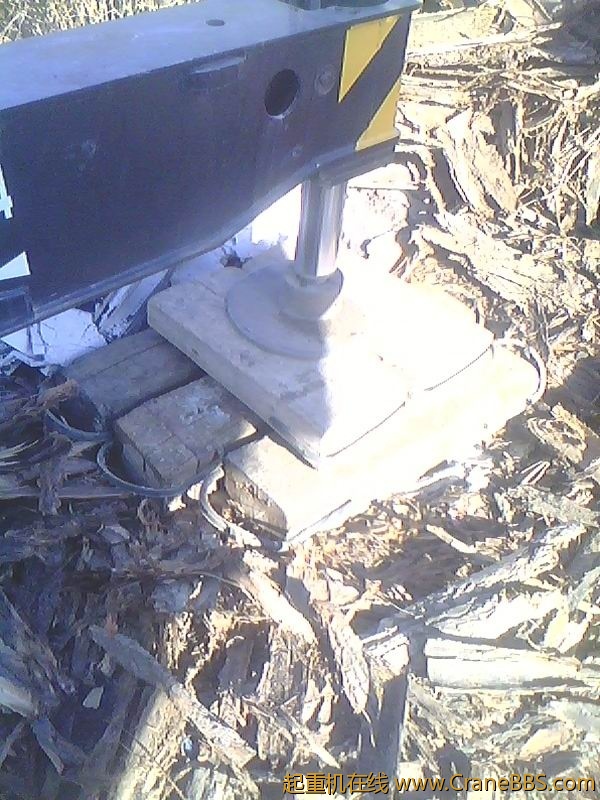 IMG2031A.jpg