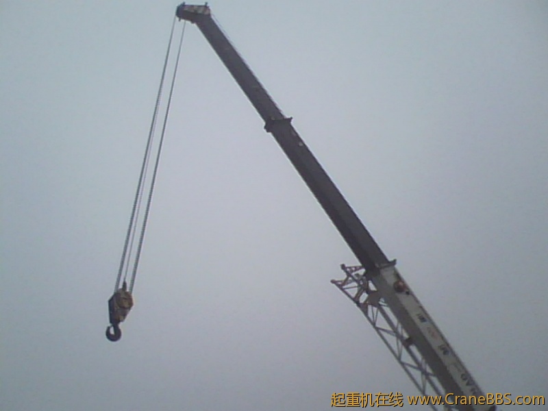 IMG1196A.jpg