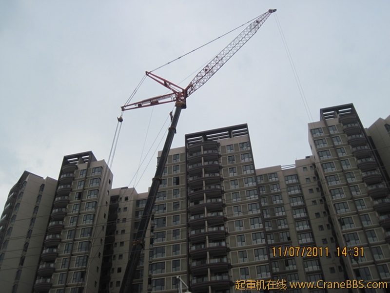 IMG_3525_副本.jpg