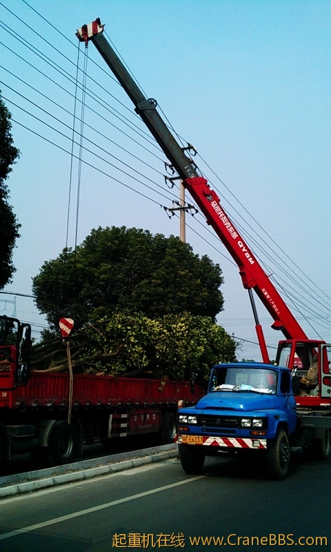 IMAG0040.jpg
