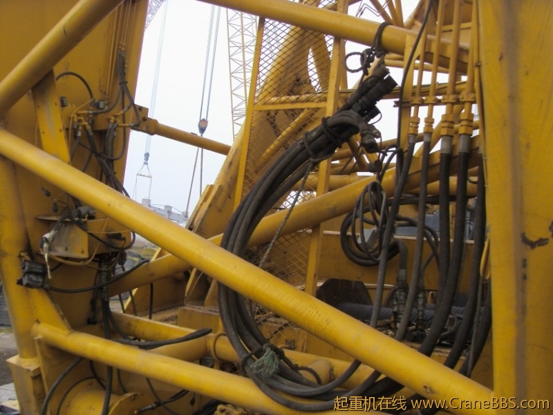 S73F3088_conew1.JPG