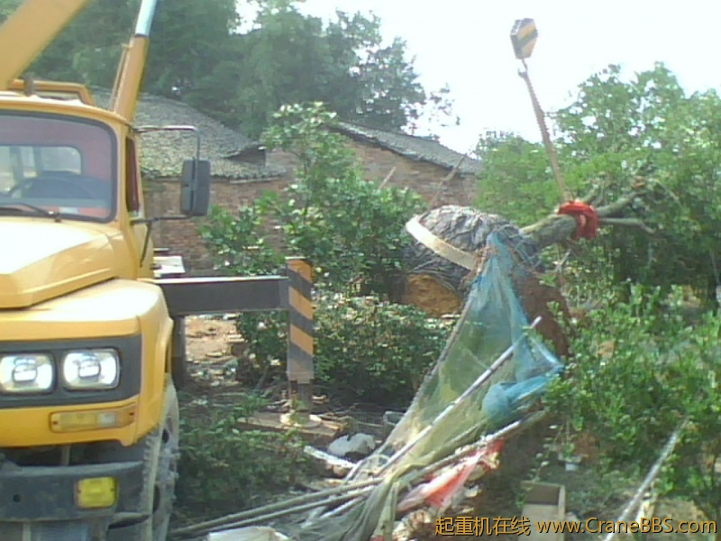 IMG1210A.jpg