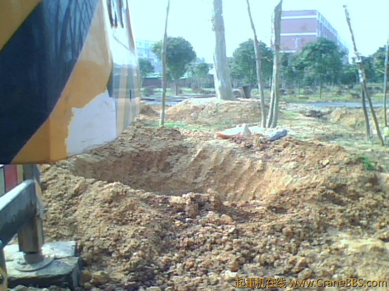 IMG1214A.jpg