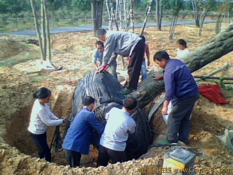 IMG1217A.jpg