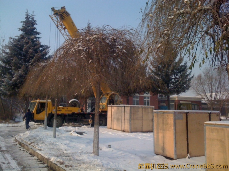 手机照片 5993.jpg