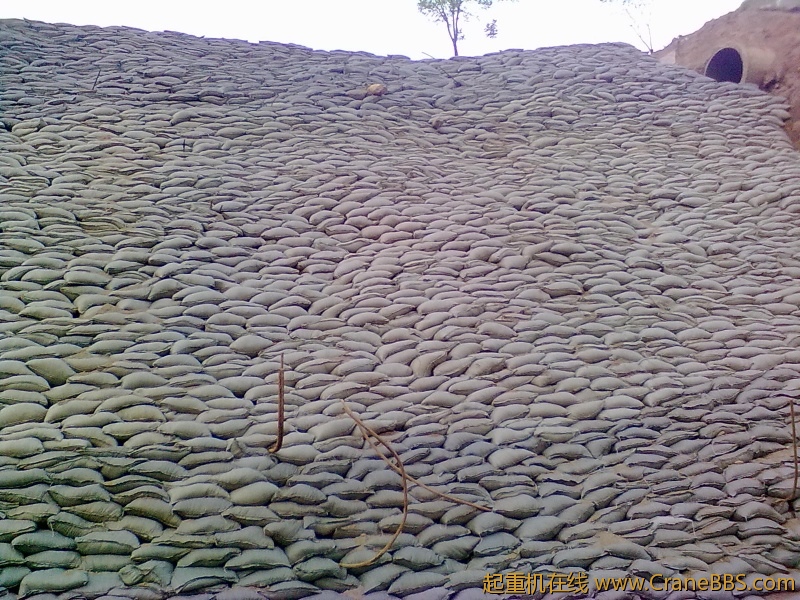 20111115679.jpg