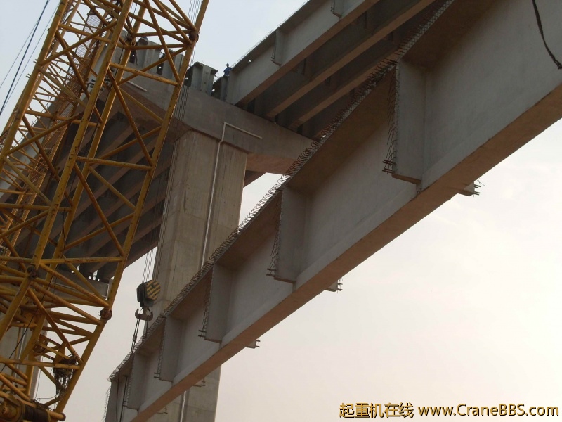 SDC10591.JPG