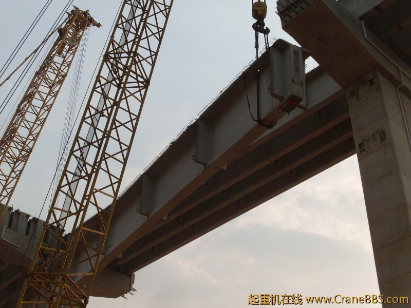SDC10592.JPG