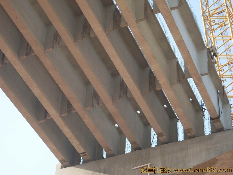 SDC10571.JPG