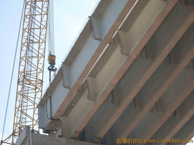 SDC10570.JPG