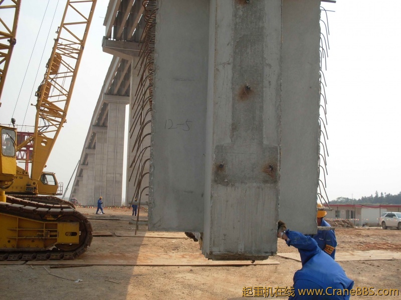 SDC10590.JPG