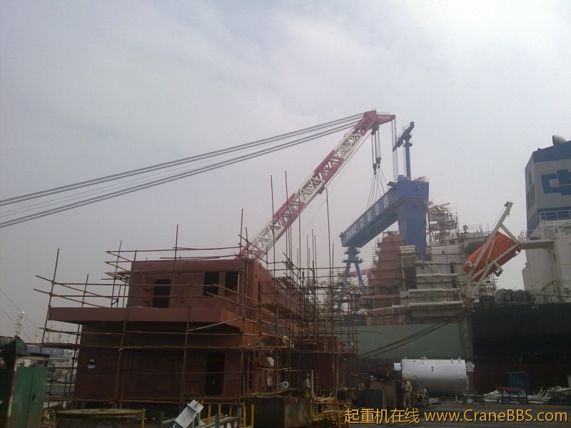20111117131.jpg