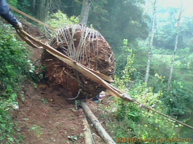 IMG1218A.jpg