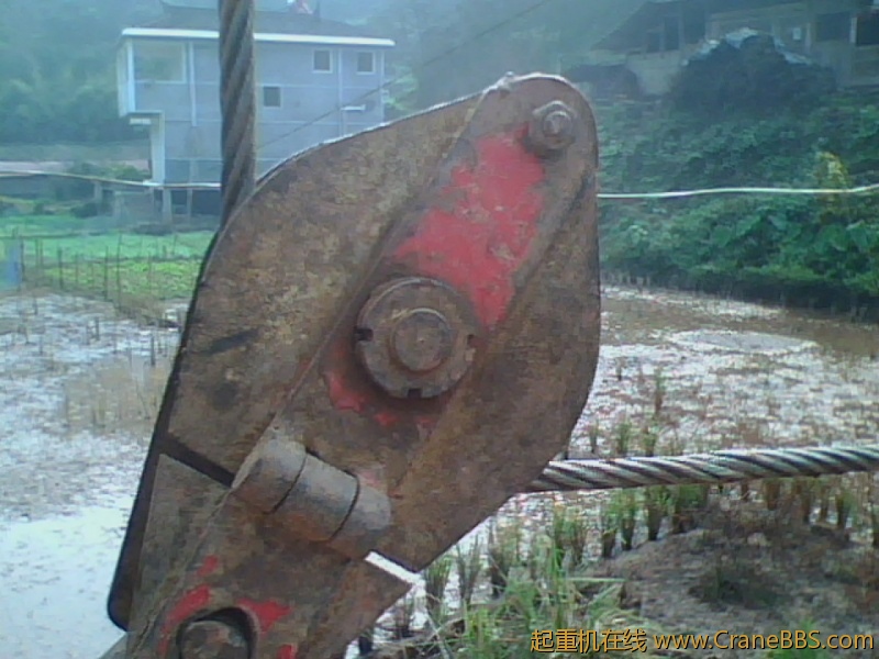 IMG1224A.jpg