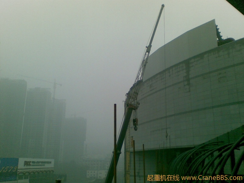 20111116_008.jpg