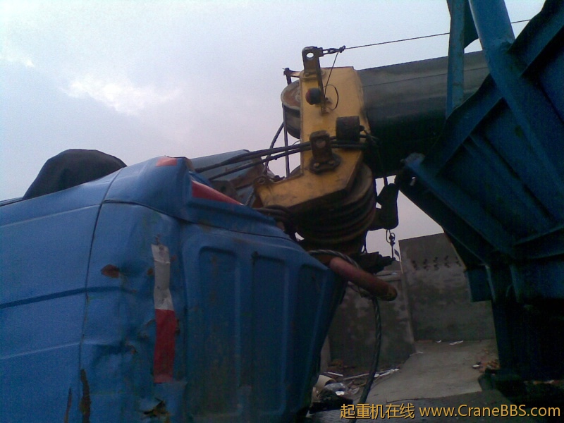 20111117.jpg