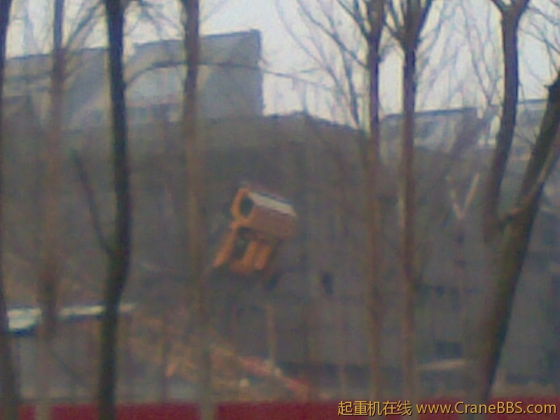 20111117.jpg