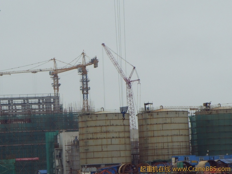 塔吊满天飞6.JPG