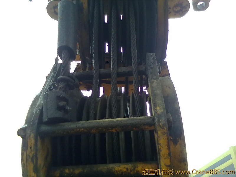 20111118512.jpg