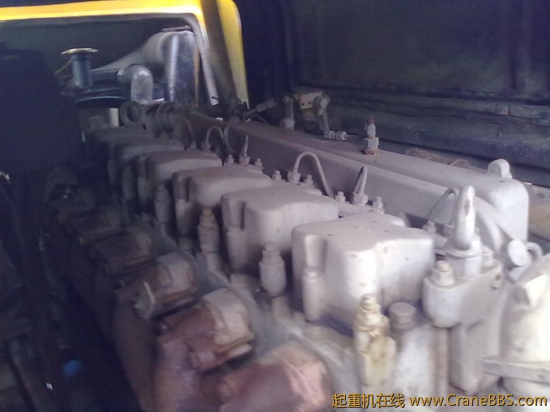 20111118509.jpg