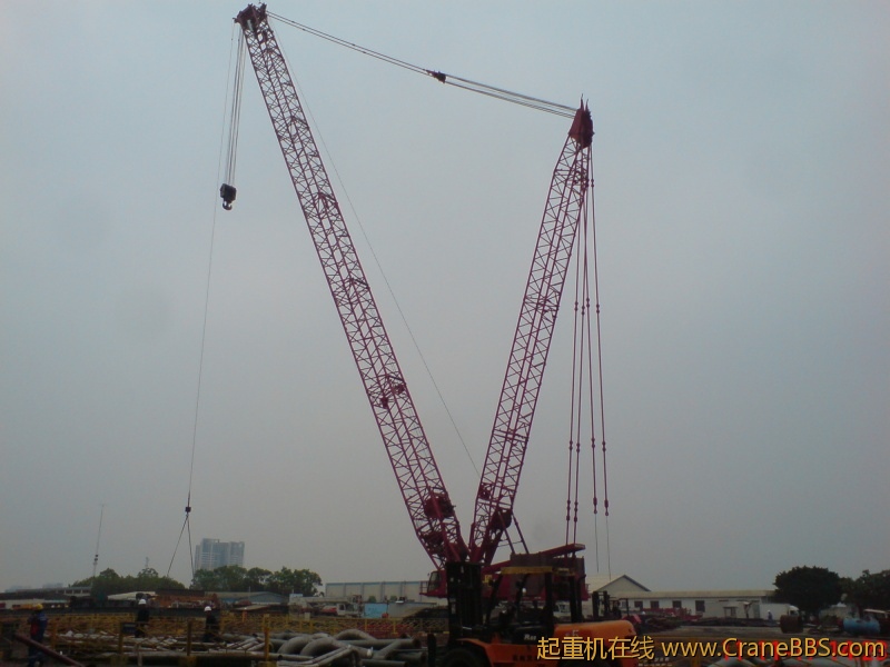 psb02.jpg