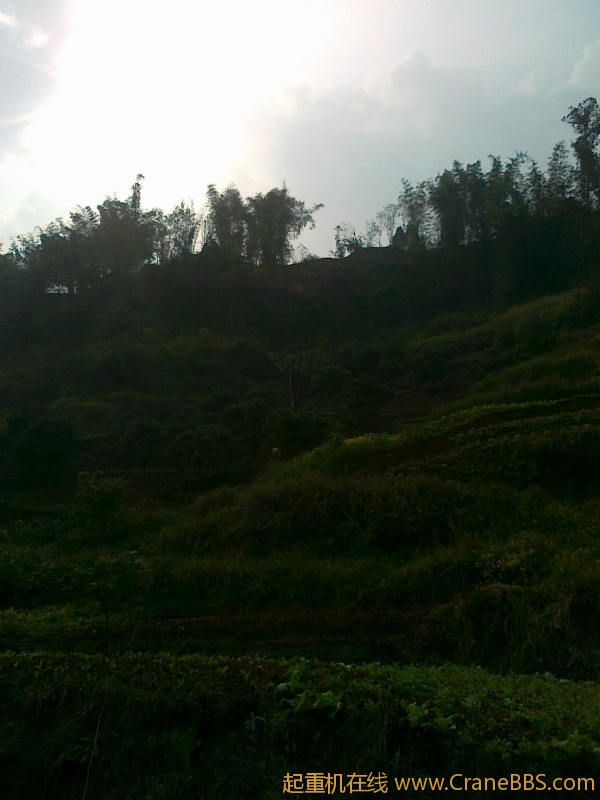 20111118023.jpg
