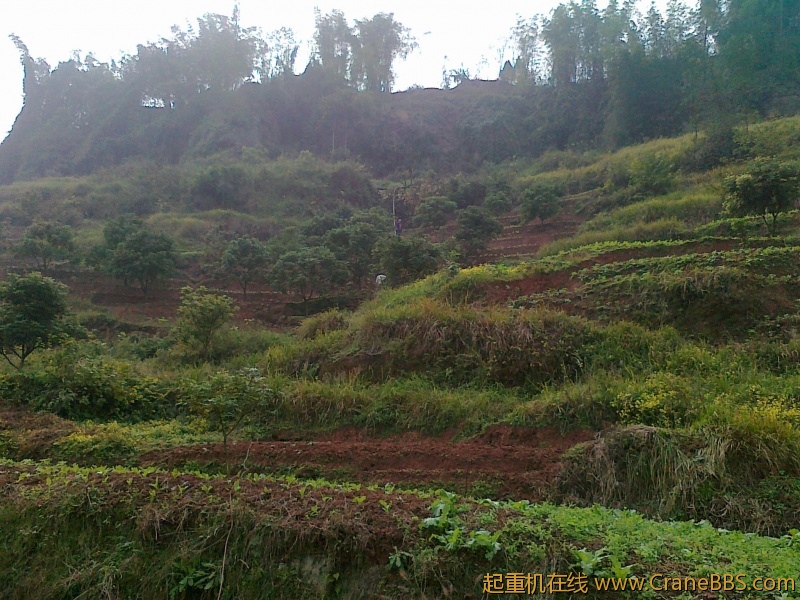 20111118024.jpg