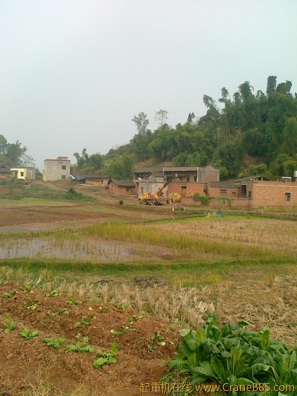 20111118025.jpg