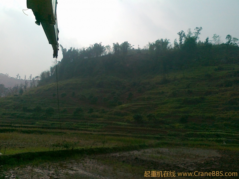 20111118021.jpg