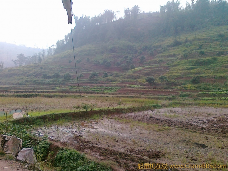 20111118022.jpg
