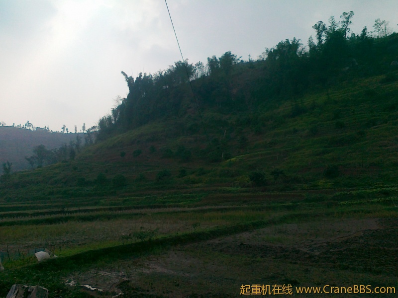 20111118033.jpg