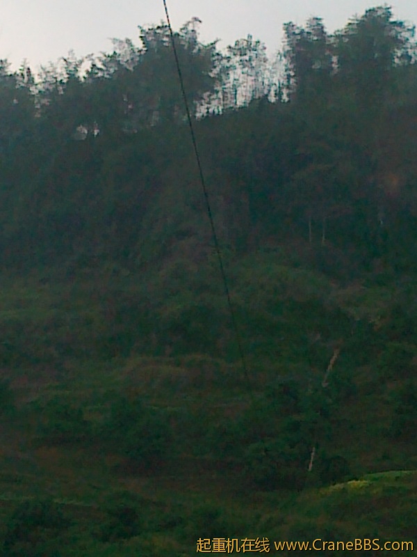 20111118034.jpg