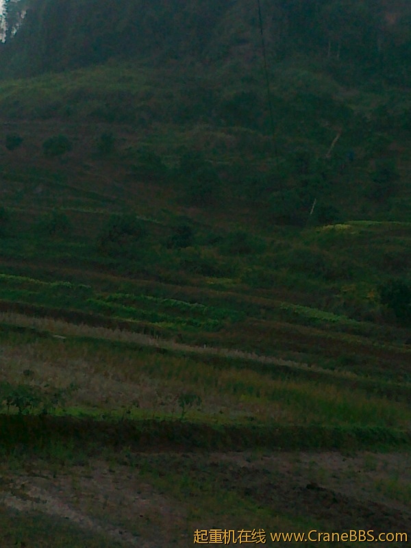 20111118035.jpg