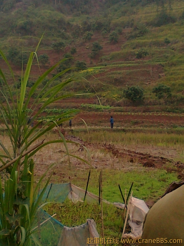 20111118038.jpg