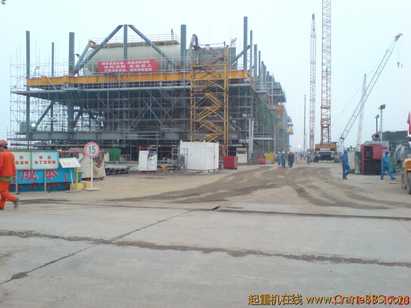 psb012.jpg