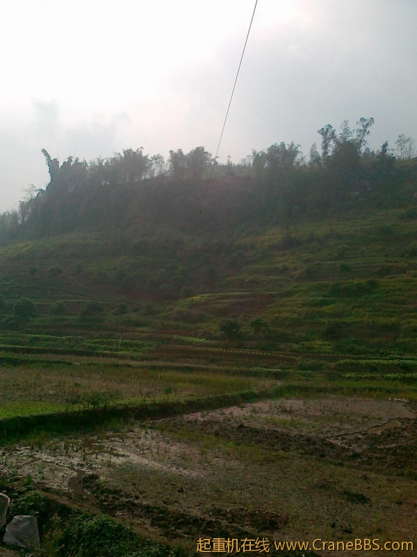 20111118029.jpg